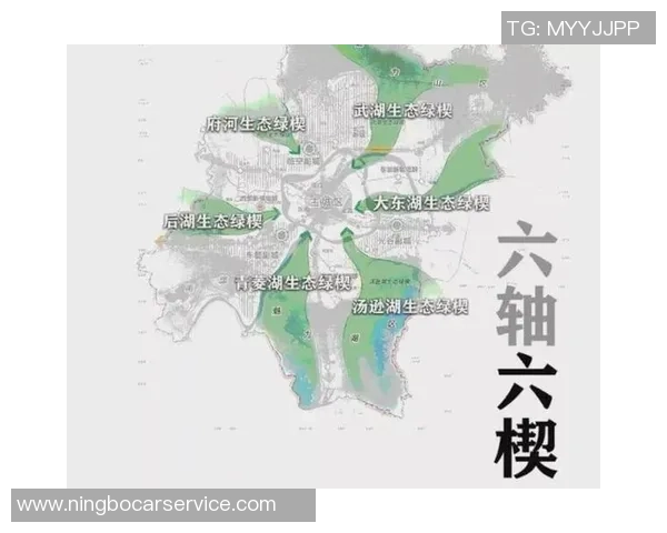 专业解读：武汉乒乓球队的区域防守打法