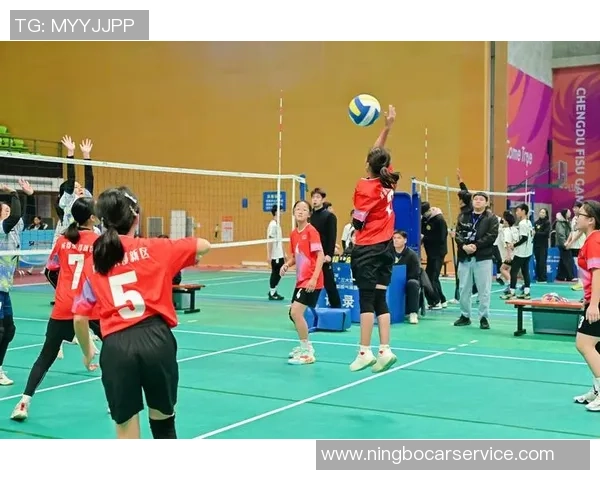 排球热议：成都排球队的耐力争议