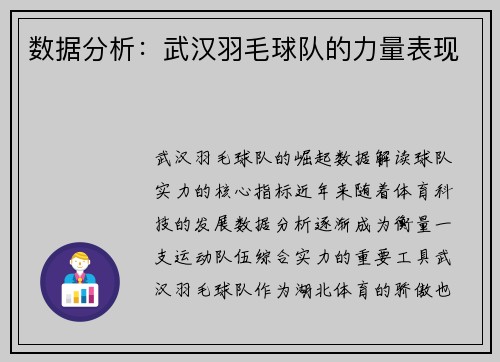 数据分析：武汉羽毛球队的力量表现